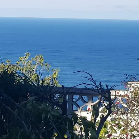 Larnia De Tenerife * 绍萨尔