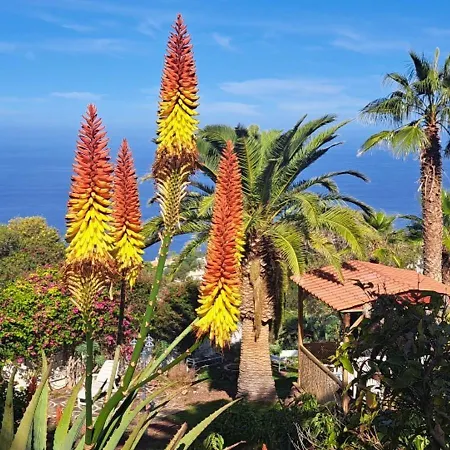 Larnia De Tenerife * Sauzal