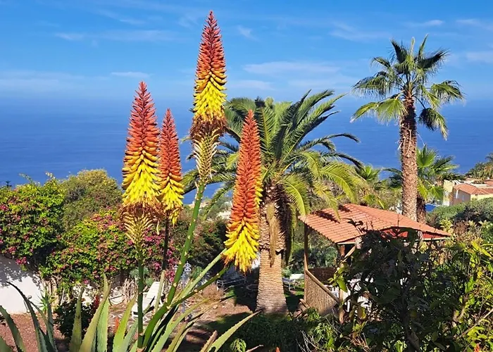 Larnia De Tenerife * 사우살