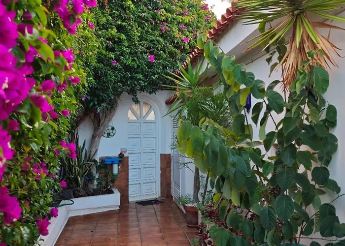 Larnia De Tenerife 사우살