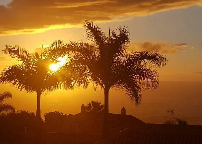 Larnia De Tenerife El Sauzal