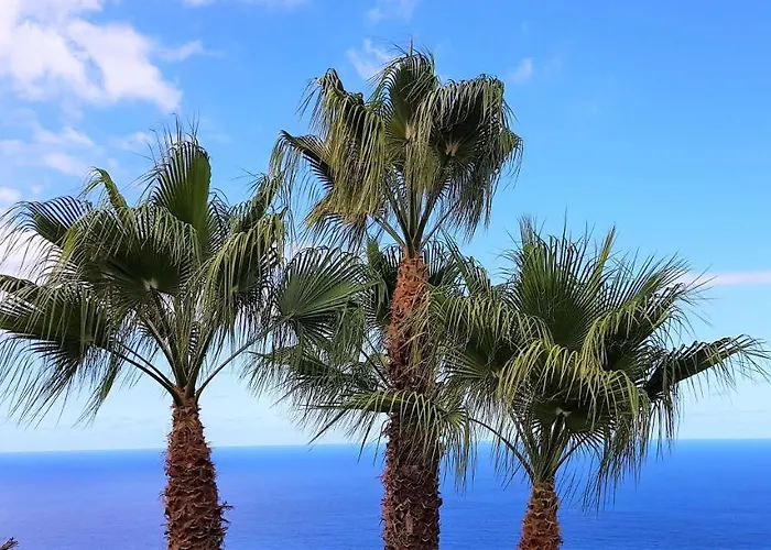 아파트 Larnia De Tenerife *