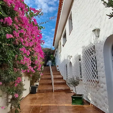Larnia De Tenerife Daire *