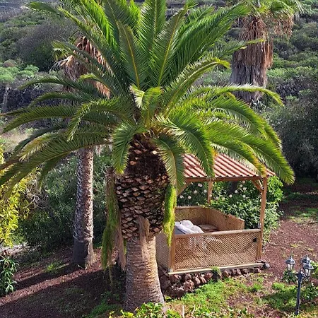 Larnia De Tenerife Daire El Sauzal