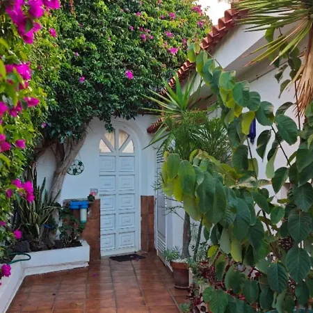 Larnia De Tenerife El Sauzal