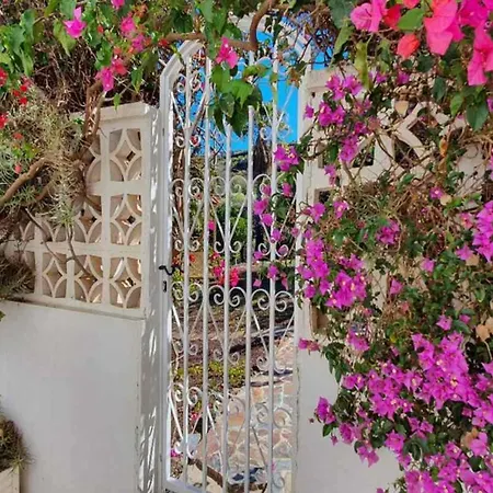 Larnia De Tenerife *