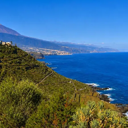 Larnia De Tenerife * Sauzal