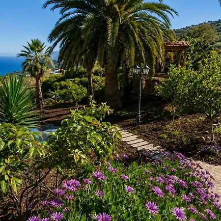 Larnia De Tenerife