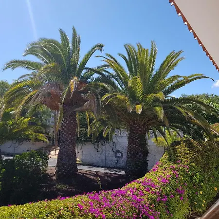 Lejlighed Larnia De Tenerife *