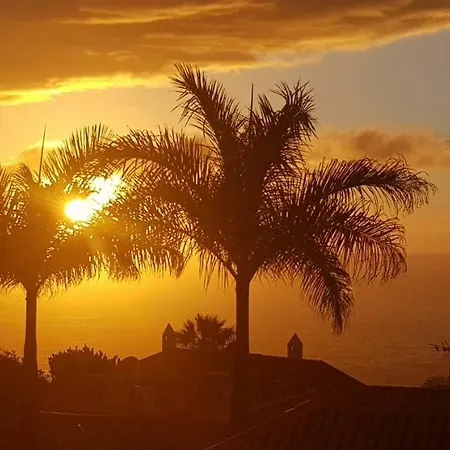 Larnia De Tenerife El Sauzal