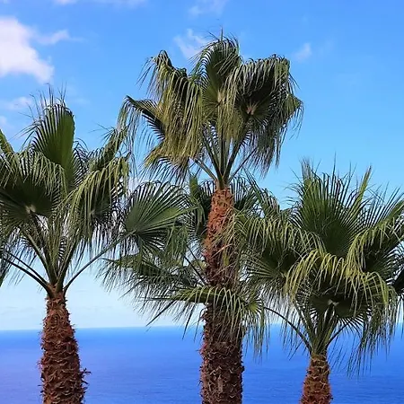 Apartamento Larnia De Tenerife *