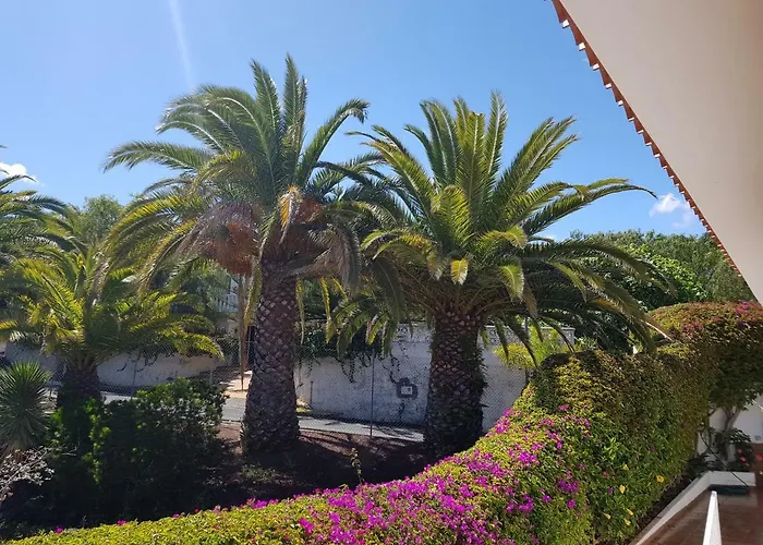 Appartamento Larnia De Tenerife *